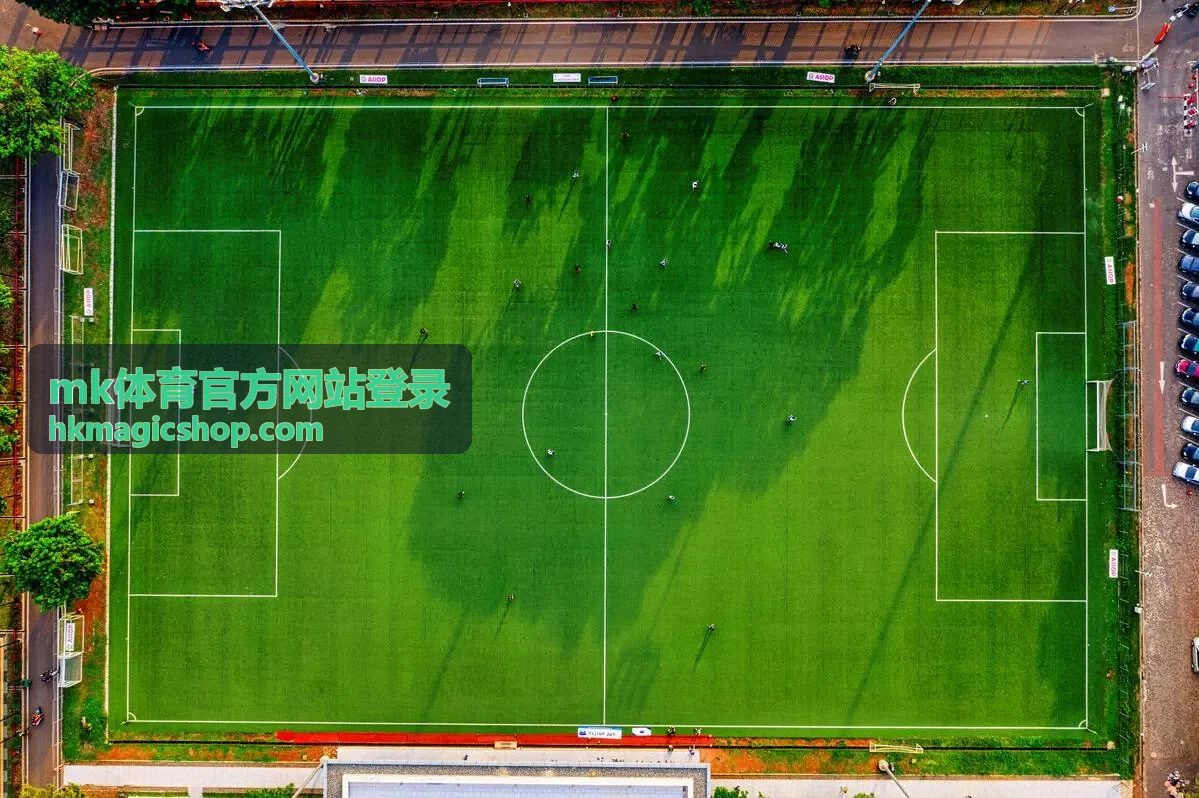 mk体育官方网站登录功能模块示意