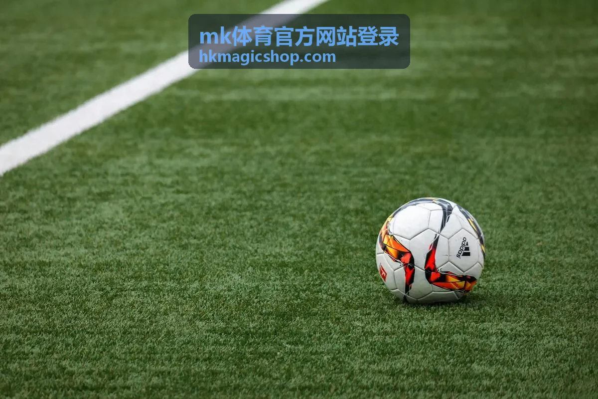 mk体育官方网站登录手机端界面示意