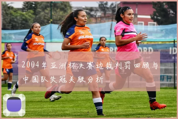 2004年亚洲杯决赛边裁判罚回顾与中国队失冠关联分析