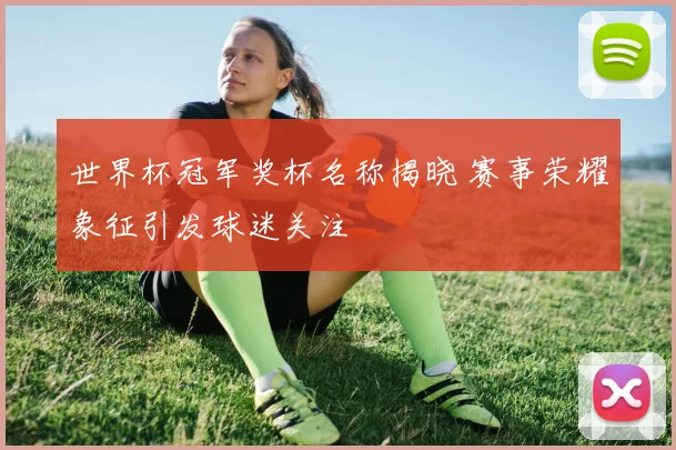 世界杯冠军奖杯名称揭晓 赛事荣耀象征引发球迷关注