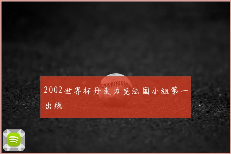 2002世界杯丹麦力克法国小组第一出线