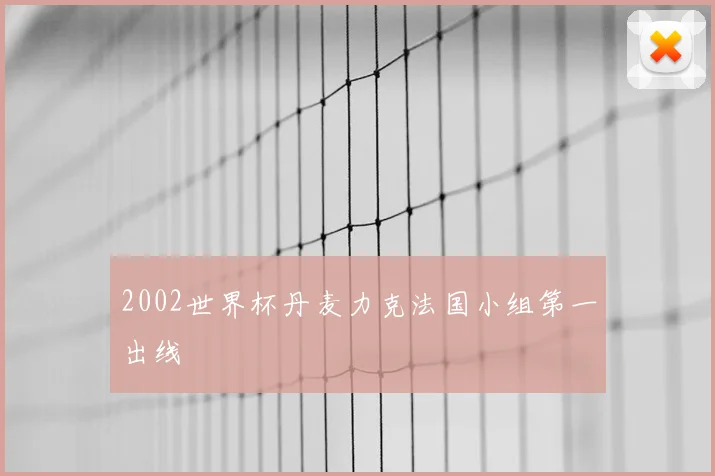 2002世界杯丹麦力克法国小组第一出线