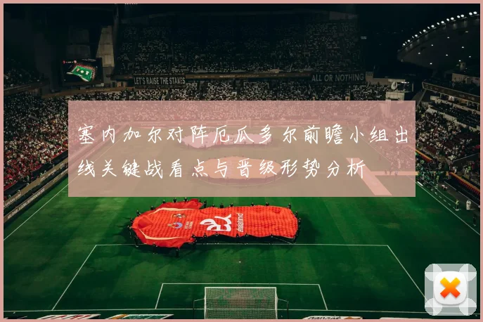 塞内加尔对阵厄瓜多尔前瞻小组出线关键战看点与晋级形势分析
