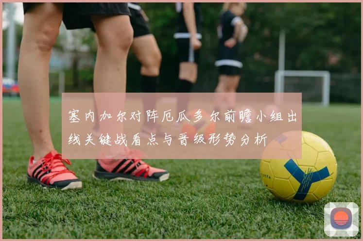 塞内加尔对阵厄瓜多尔前瞻小组出线关键战看点与晋级形势分析